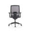 Ergo Twist Office Chair