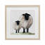 «Sheep And Lamb Portrait», reproduction encadrée sous verre, conception de Michele Norman-1493223811-1493223812
