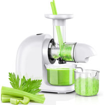 Small Mini Portable Compact Masticator Juicer Machine For Fruit With 16 Oz  Cold Pressed Juice Bottles, Juicing Recipe Book, Funnels And Bottle Brush