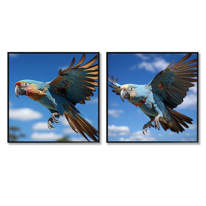 Perroquets Wings Of Beauty - animaux, ensemble de 2 perroquets carrés, Cadre flottant noir, H 16 po x l 33 po