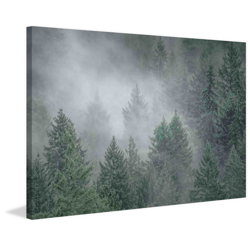 «Draped In Clouds» par Don Schwartz, reproduction d'art sur toile tendue, 30 po x 45 po