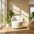 DG Collection 25.6" W x 25.6" D x 27.56" H Teddy Fabric 360-Degree Swivel Barrel Accent Armchair