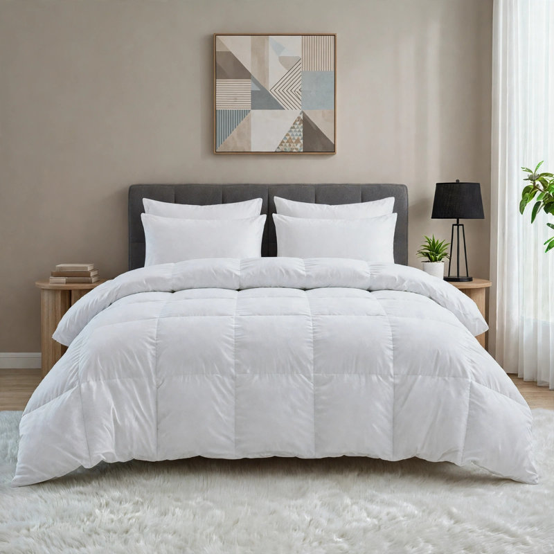 Insertion de couette en duvet et plumes toutes saisons, Queen