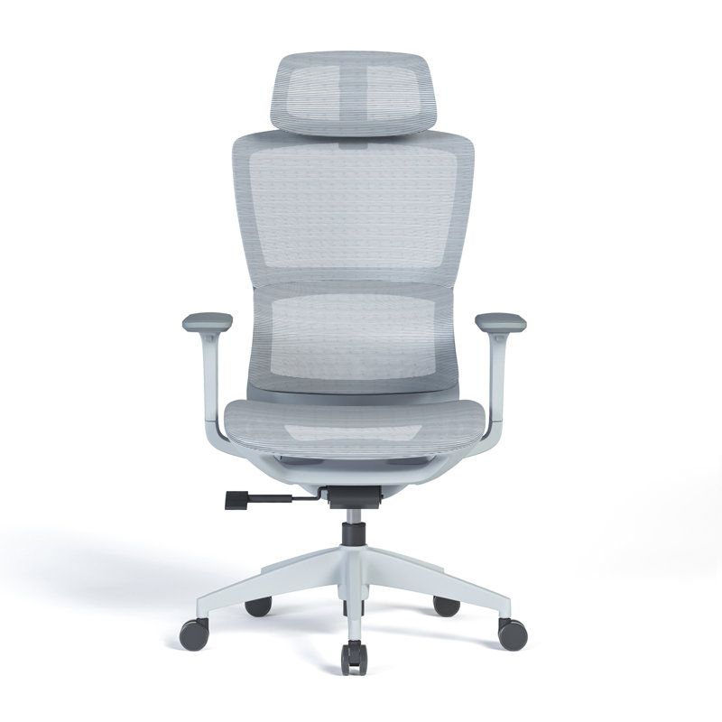 Chaise de bureau Reniesha, Gris, Gris