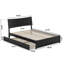 Harlowe Wood Platform Bed with Trundle-2058496868-2058496874