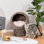 Lit surélevé pour chat surélevé, H 23,5 po, gris avec coussin relaxant pour chats d'intérieur Jusqu'à 8 lb de lit Élégant natté, petit