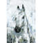 Parvez Taj - Wrapped Canvas Print-36743721