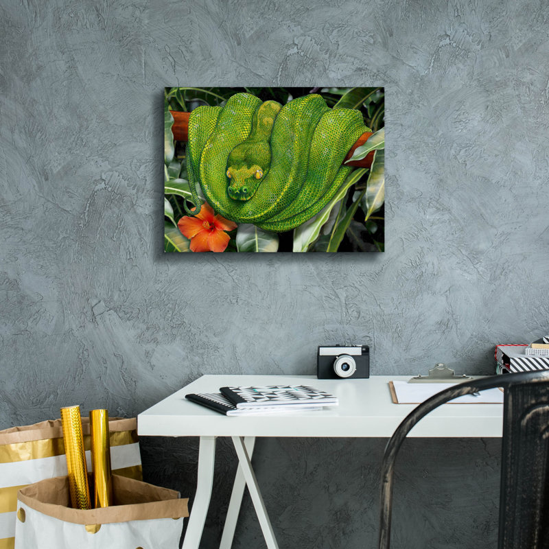  'Green Tree Python' by Tim Jeffs Canvas Wall Art, 12" H x 16" W