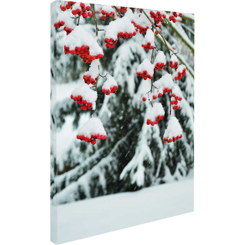 Winter Berries and Pine Snowy Canvas Art Print