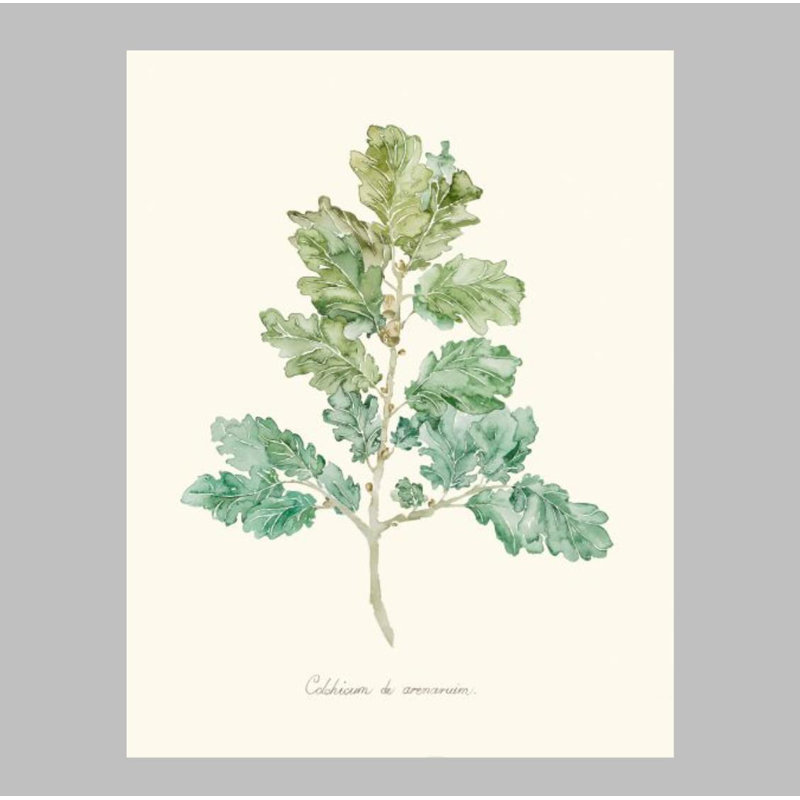«Herb Garden VI» par Sara Brown - Impression sur toile, H 31 po x l 24 po x P 1,5 po, Couche de verre
