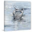 Floating Free by Parvez Taj - Wrapped Canvas Painting-38993978