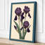 Purple Iris Study Botanical - Wrapped Canvas-1043471887-1043471873