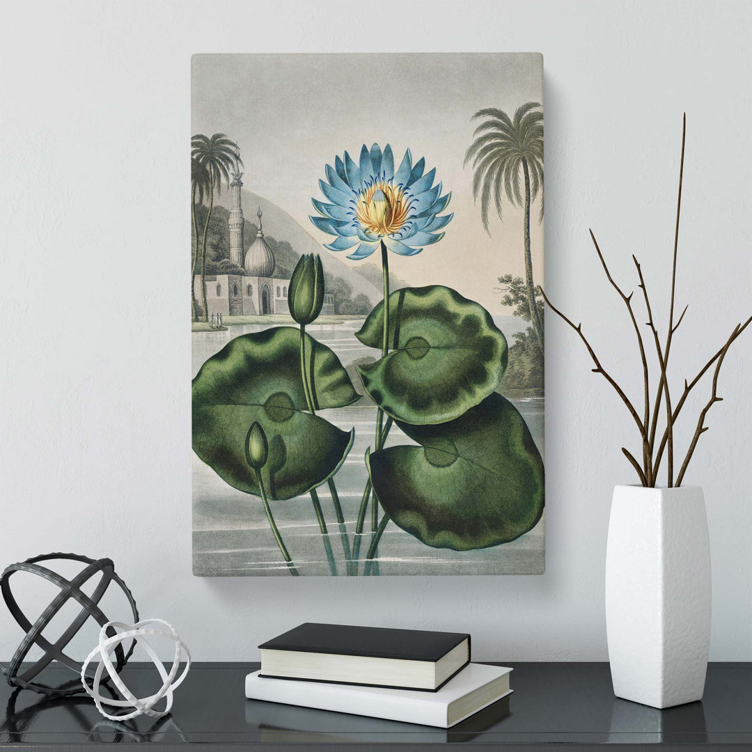 Blue Egyptian Water Lily by R.J. Thornton - Wrapped Canvas