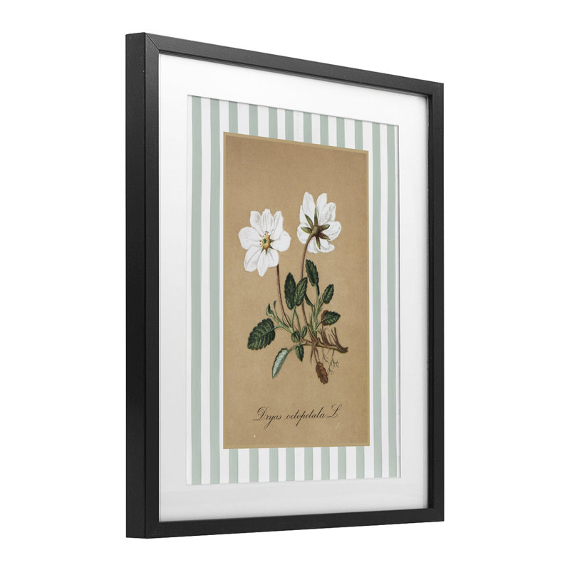 Reproduction sous verre encadrée de fleurs blanches et de rayures vertes, par lettrage et doublure, Cadre noir minuit