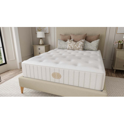 Timeless Blush Luxury Firm