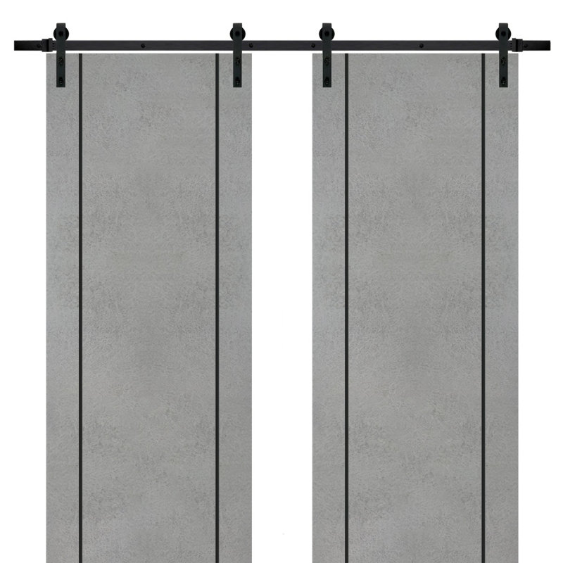 Porte de grange en bois massif massif, 48 po x 96 po