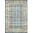 Oriental Indoor Rug-1623787360