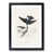 Black Framed selected