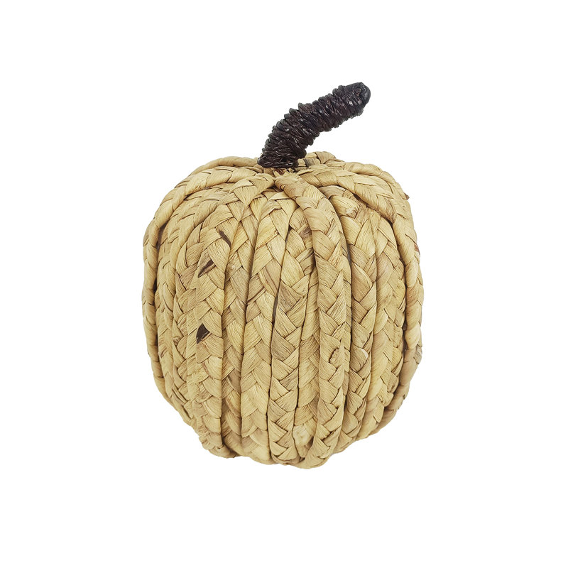 HH citrouille jacinthe d'eau, H 7,28 po x l 5,71 po x P 5,71 po