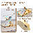 Glass Dining Table Set For 4-1328004840-1328004843-1315969724