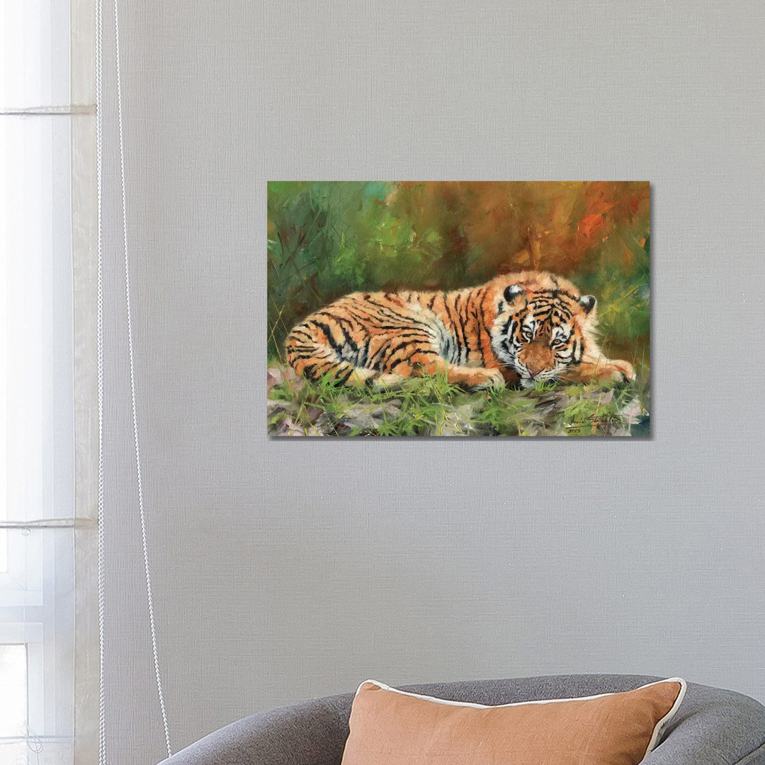 Amur Tiger Repose von David Stribbling - Gallery-Wrapped Canvas Giclée on Canvas