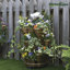 Burke Pot Planter
