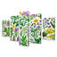 Collage de fleurs printanières en fleurs - fleurs sauvages 5 pièces