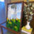 Monet’s Woman with a Parasol Framed Canvas Art - Impressionist Giclée Print with Maintenance-Free 3D Preserved Moss Border