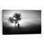 " Misty Morning Cyclist Dreamy Peaceful Serene Nature Sunrise Wall Art Print " by Roswitha Schleicher-Schwarz-208021753