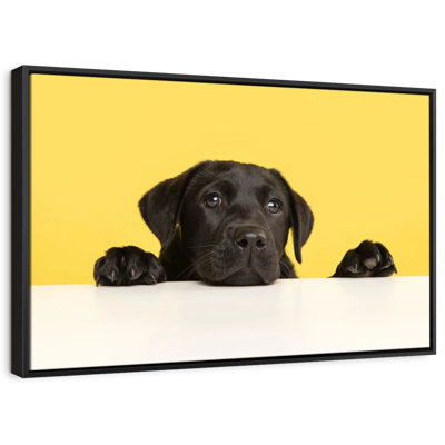 Cute Black Lab Canvas Print