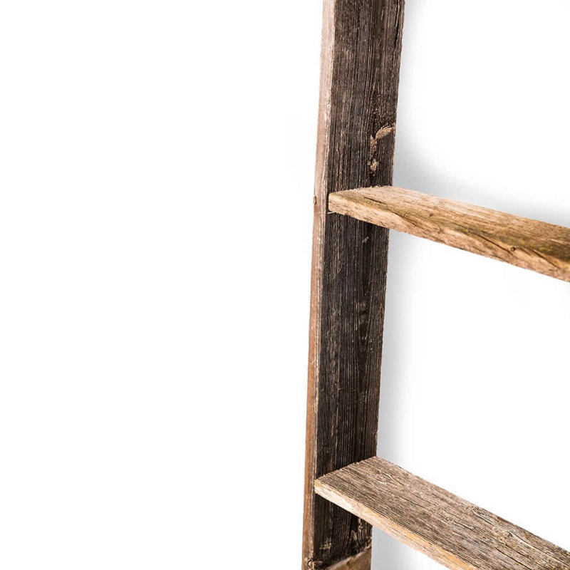 Étagère échelle en bois Orla, Gris, (4 tablettes) H 60 po x l 13 po x P 4 po