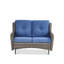 Canapé de patio, causeuse d'extérieur en osier avec coussin épais de luxe, ensemble de meubles de patio toutes saisons-101831498-101831494