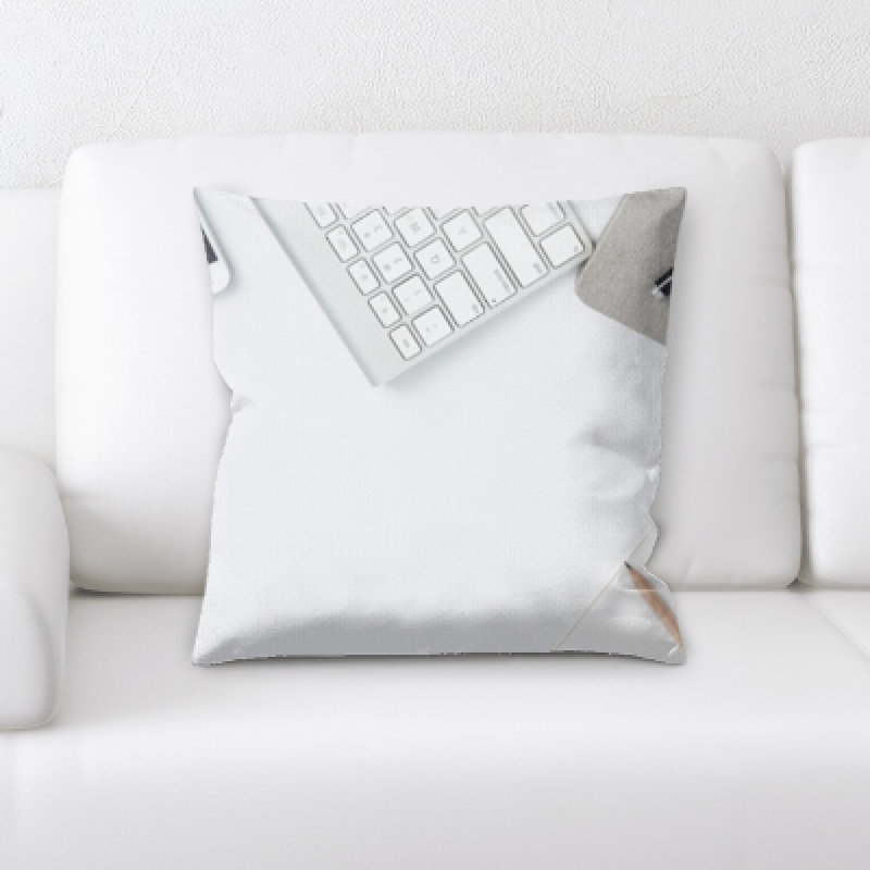 Burks Square Pillow Cover & Insert