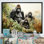 Horizon de la famille des gorilles d'Afrique I - impressions sur toile gorille