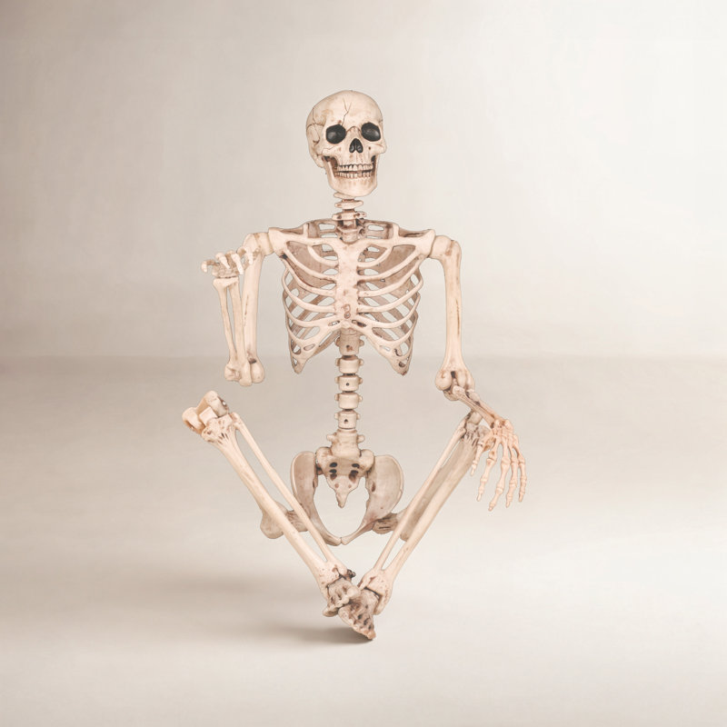Pose-N-Stay Skeleton