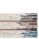 Tapis lavable en machine Moss