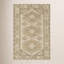 Bristol Oriental Area Rug in Brown-825303892