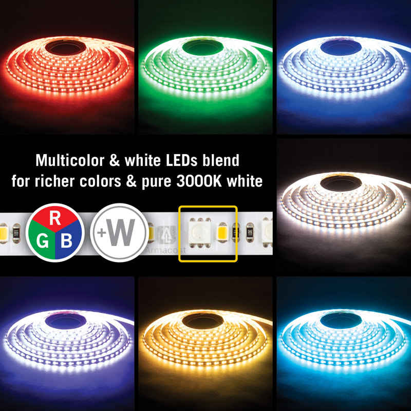 RibbonFlex Pro, 24 V, RVB + W, 60 + 60 DEL / M, IP20, bande de lumière sous l'armoire 5M