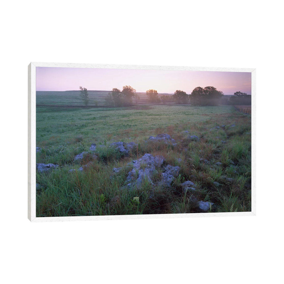 Misty Morning Over Prairie, Tallgrass Prairie National Preserve, Kansas von Tim Fitzharris - Gallery-Wrapped Canvas Gicl...