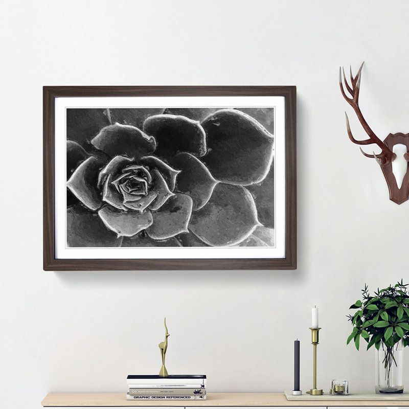 Succulent Plant - Picture Frame Painting Print, 27cm H x 36cm W x 2cm D, Walnut Framed