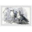 Bird Buddies - Single Picture Frame Painting-1678821835