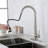 Topcraft Single Handle Single Hole Pull Down Kitchen Sink Faucet with Deck Plate-71541377