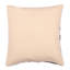 Square Pillow Cover & Insert