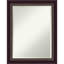 Miroir traditionnel biseauté-44546242