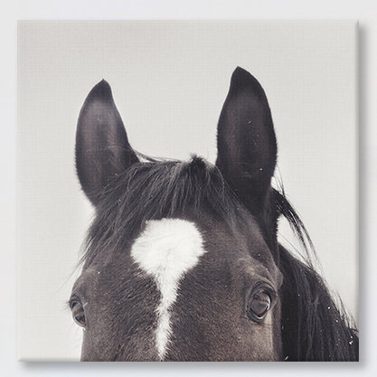 « all earss », reproduction de photo sur toile tendue, H 12 po x l 12 po x P 1,5 po, Pas de tapis, Toile tendue