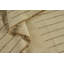 Geometric Area Rug in Ivory-1977105352