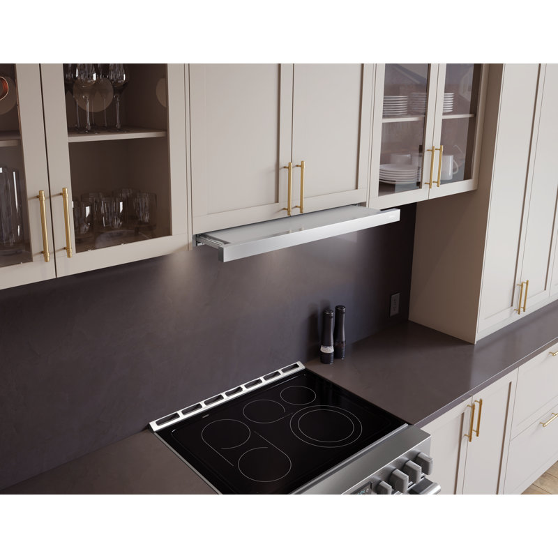 Hotte sous l'armoire 30 po. 290 CFM avec lumières DEL en acier inoxydable Zephyr Valina