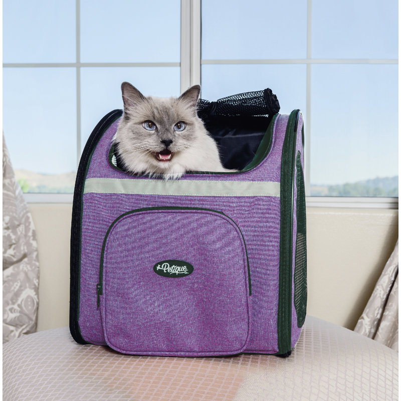 Petique Backpacker Pet Carrier Collapsible Pet Carrier with 2 Doors