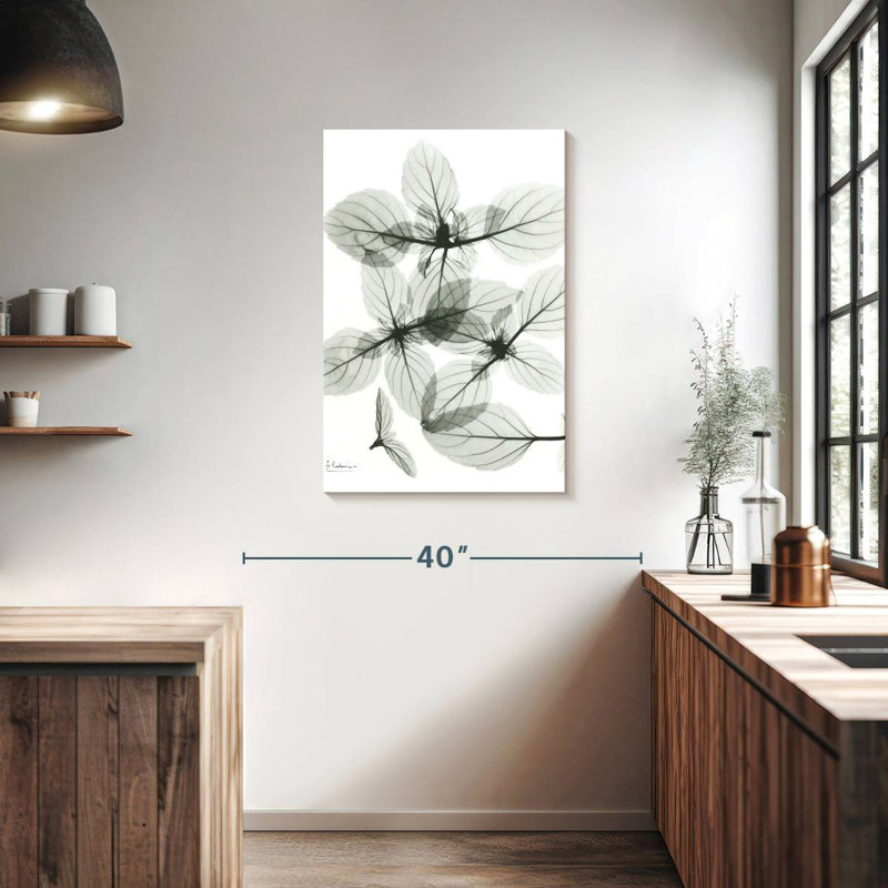 Harnek Basil I, 36" H x 24" W