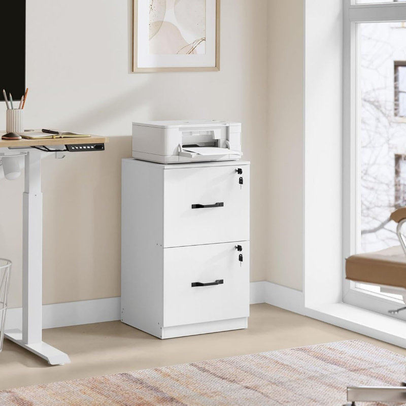 41 cm W 2 -Drawer Filing Cabinet